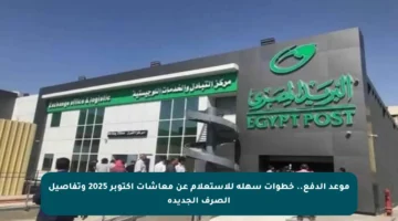موعد الدفع.. خطوات سهلة للاستعلام عن معاشات أكتوبر 2025 وتفاصيل الصرف الجديدة